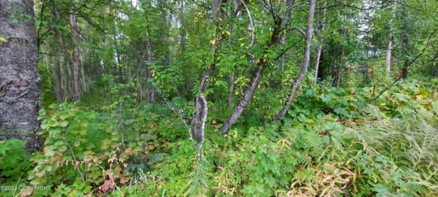 14972 E POWERS RD, TALKEETNA, AK 99676 - Image 1