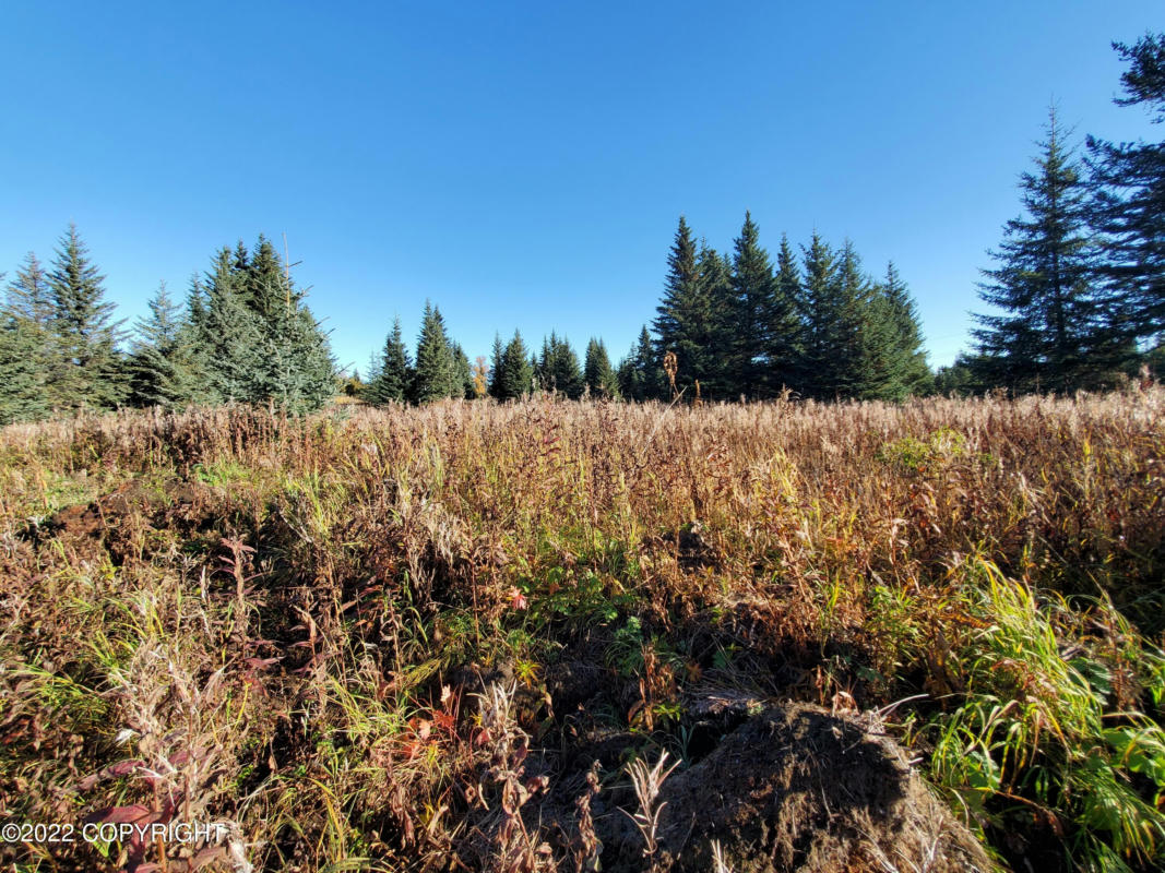 67618 SHAVILA ROAD, NINILCHIK, AK 99639, photo 1 of 5