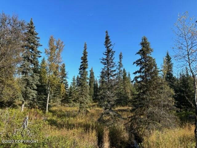 68302 SUNSHINE DR, NINILCHIK, AK 99639, photo 1 of 8