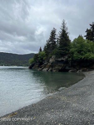 TRACT 3 PETERSON BAY, HALIBUT COVE, AK 99603, photo 4 of 16