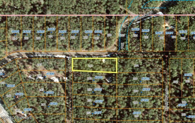 L 248 CASWELL LAKES, WILLOW, AK 99688 - Image 1