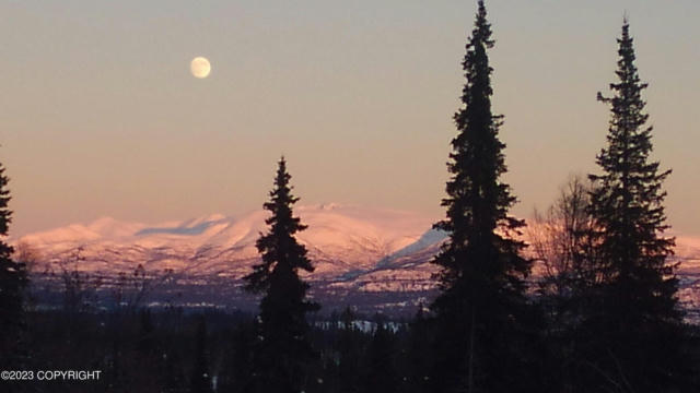 000 TRINITY LAKE, SKWENTNA, AK 99667 - Image 1