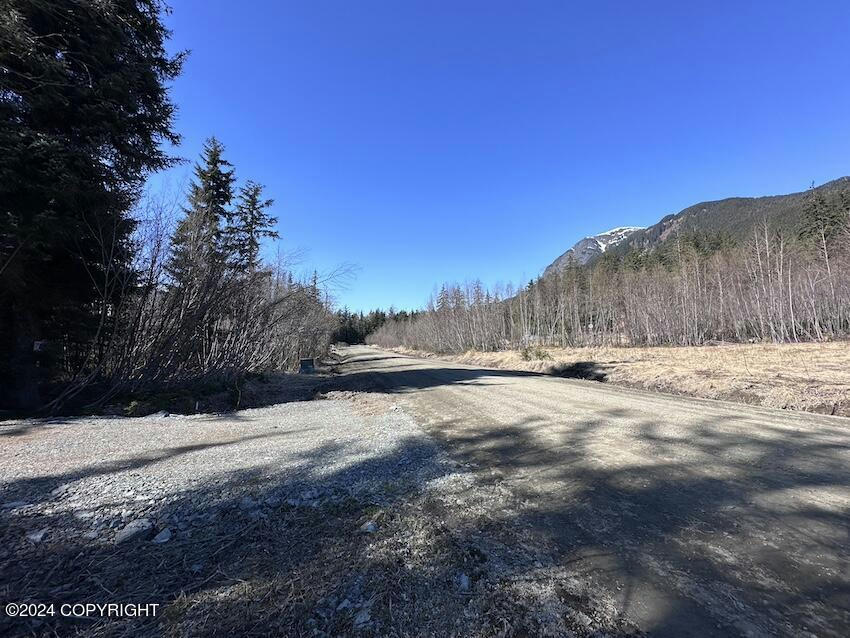 NHN CHESTNUT DRIVE, HAINES, AK 99827, photo 1 of 6