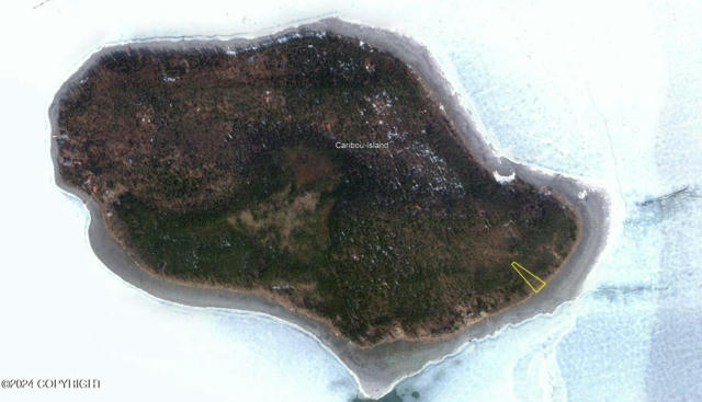 L4 B2 CARIBOU ISLAND (NO ROAD), COOPER LANDING, AK 99572 - Image 1