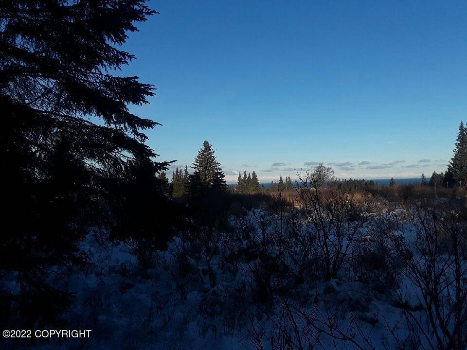 17285 KIMELUK STREET, NINILCHIK, AK 99639, photo 1 of 6