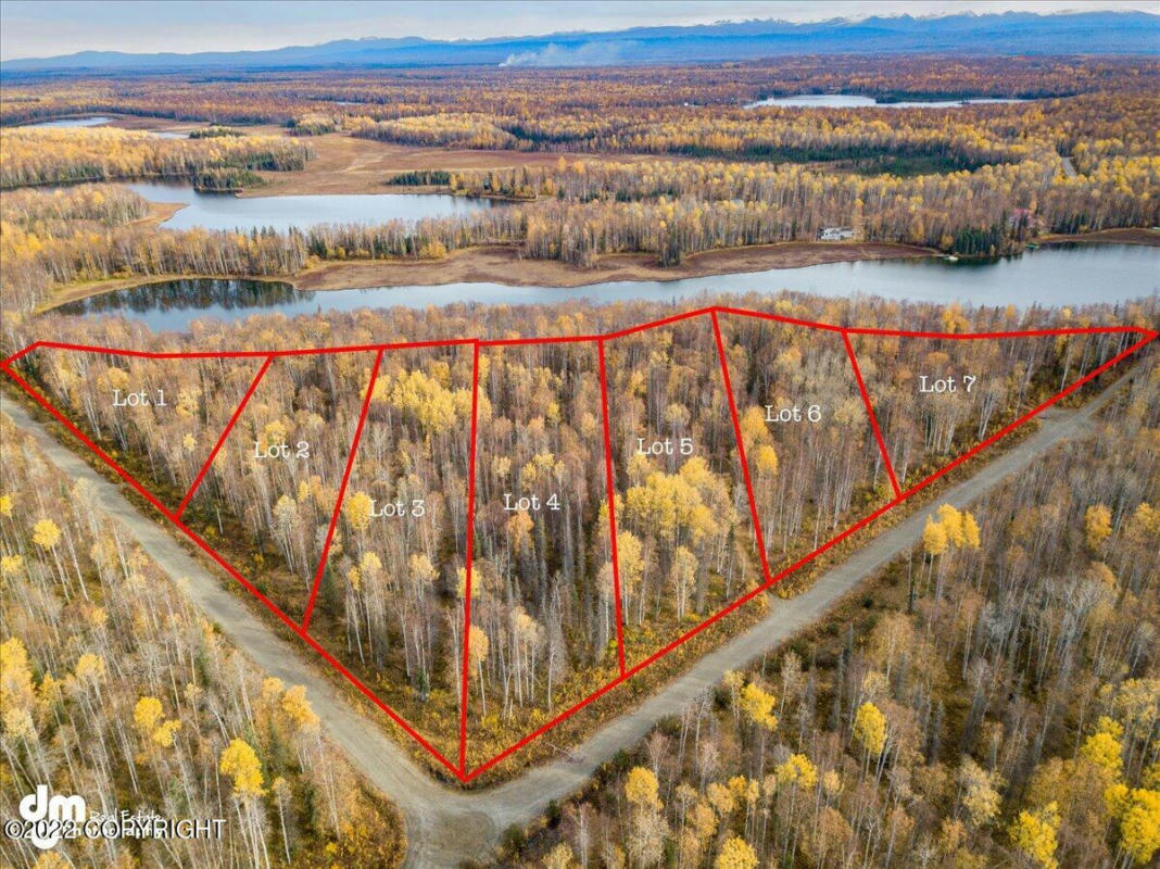 10579 N LITTLE LONELY LAKE RD, WILLOW, AK 99688, photo 1 of 35