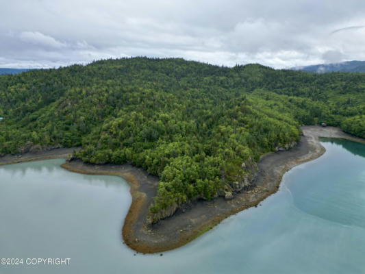 NHN 2C BEAR COVE, HOMER, AK 99603, photo 3 of 13