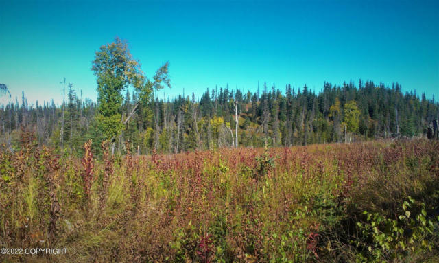 D7 ALASKAN WILDWOOD RANCH(R), NIKOLAEVSK, AK 99556, photo 2 of 4