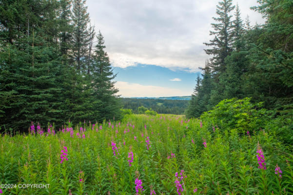 NKA SKYLINE DRIVE, HOMER, AK 99603 - Image 1