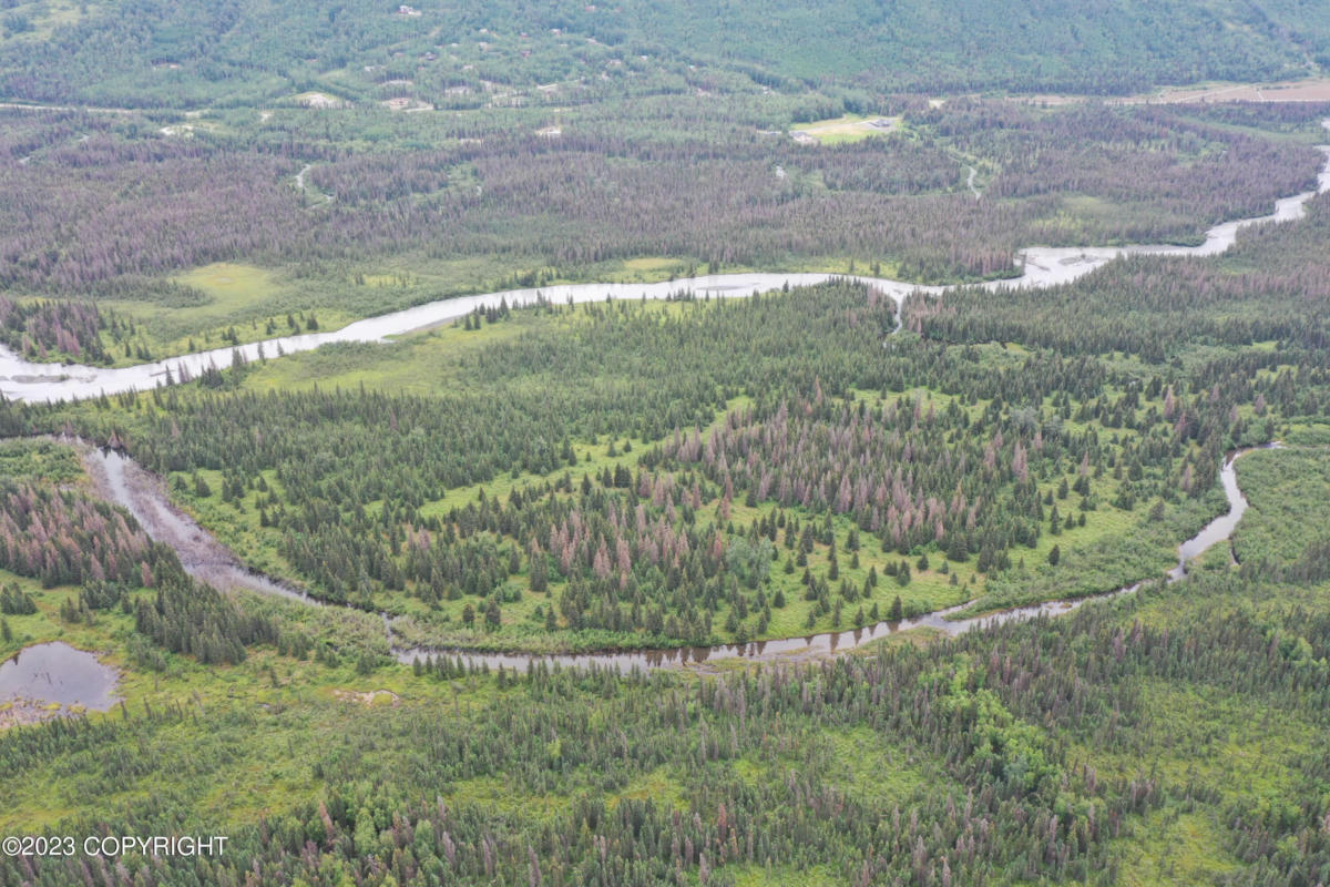 002 NO ROAD, EAGLE RIVER, AK 99577, photo 1 of 11