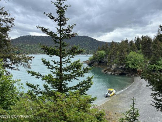 TRACT 3 PETERSON BAY, HALIBUT COVE, AK 99603, photo 2 of 16