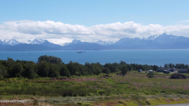 41151 WANDERING STREET, HOMER, AK 99603 - Image 1