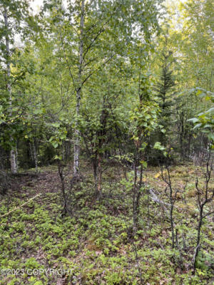 13957 W AERO LN, BIG LAKE, AK 99623, photo 4 of 5