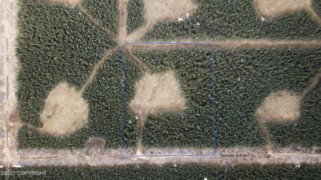 LOT 13 BOREAL FOREST SUBDIVISION, TOK, AK 99780 - Image 1