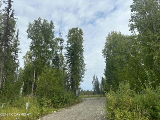 49365 S NOAH'S CIR, WILLOW, AK 99688 - Image 1