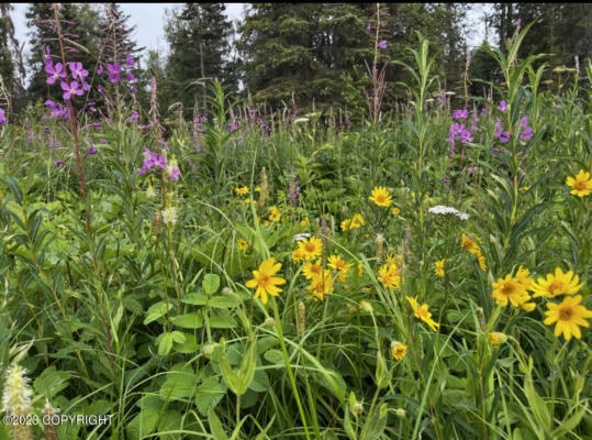 38982 CLOUD BERRY LOOP, NIKISKI/NORTH KENAI, AK 99611, photo 2 of 6