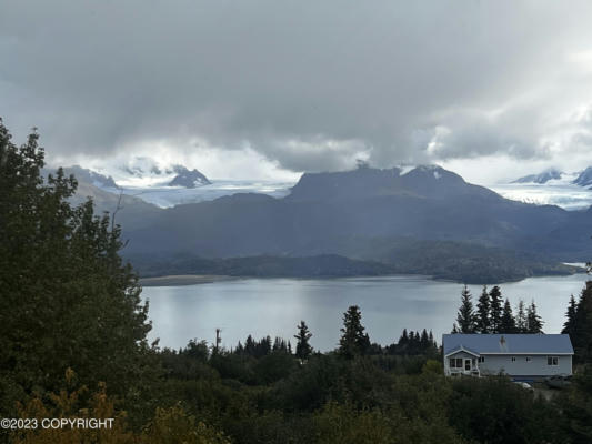 46711 GORKA CIR, HOMER, AK 99603 - Image 1