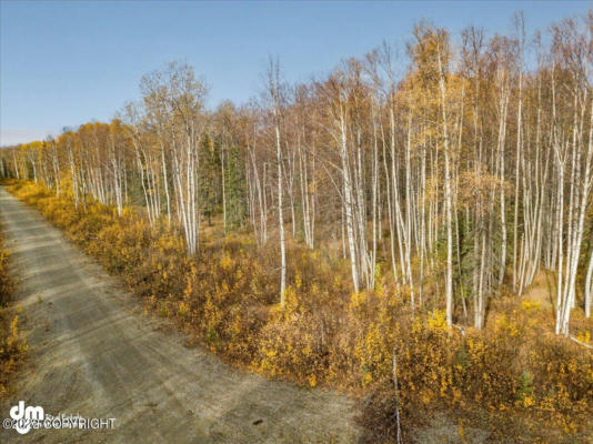 L1 N LITTLE LONELY LAKE ROAD, WILLOW, AK 99688, photo 5 of 35
