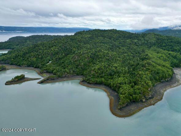 NHN 2C BEAR COVE, HOMER, AK 99603, photo 1 of 13