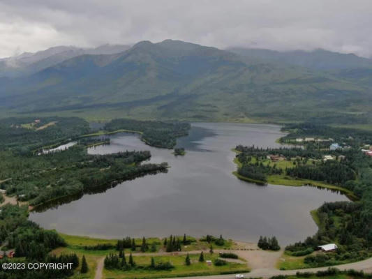 0000 OTTO LAKE ROAD, HEALY, AK 99743, photo 2 of 17