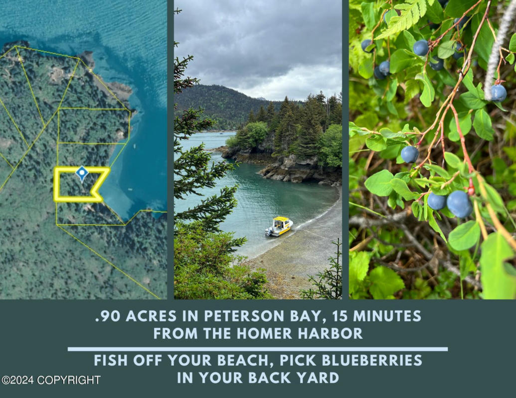 TRACT 3 PETERSON BAY, HALIBUT COVE, AK 99603, photo 1 of 16