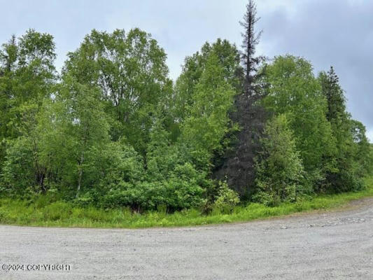 D006 WILLAS WAY, WILLOW, AK 99688, photo 3 of 31