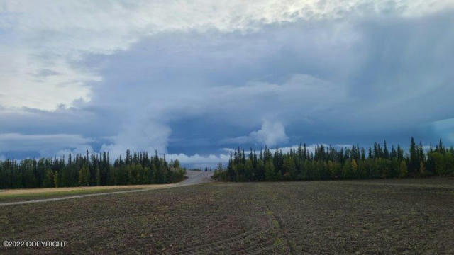 MILE 7 RAPESEED WAY, DELTA JUNCTION, AK 99737, photo 2 of 33