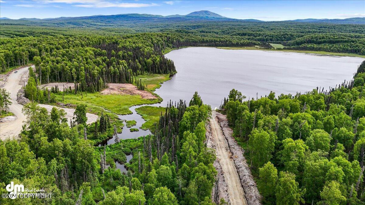 UNIT 114 BALDY LAKE AIRPARK, TALKEETNA, AK 99676, photo 1 of 17