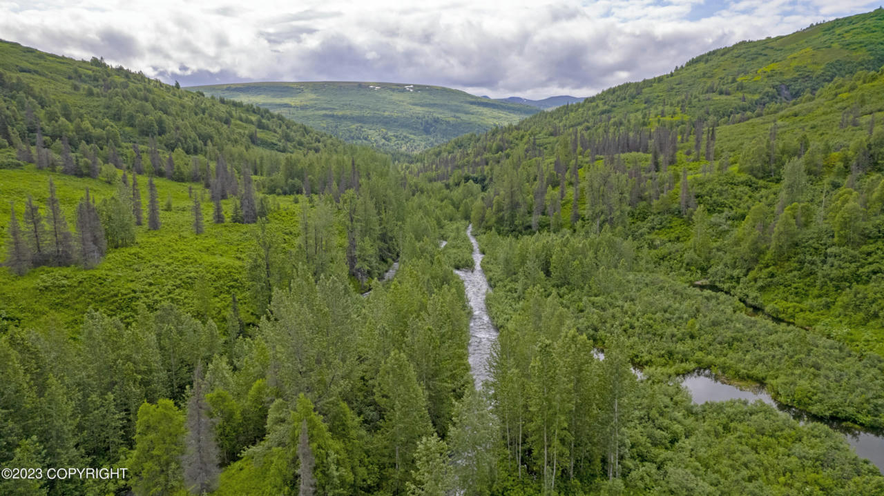 000 MCWILLIAMS - GOLD CREEK TRAIL, TALKEETNA, AK 99676, photo 1 of 100