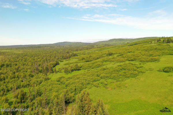 E4 ALASKAN WILDWOOD RANCH(R), NIKOLAEVSK, AK 99556, photo 2 of 5