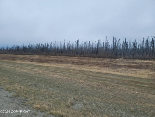 36646 W PARKS HWY, WILLOW, AK 99688, photo 4 of 5