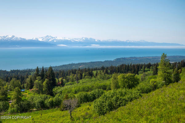 53097 HUTLER RD, HOMER, AK 99603 - Image 1