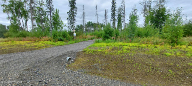 31318 S SALMON ALLEY ST, TALKEETNA, AK 99676 - Image 1