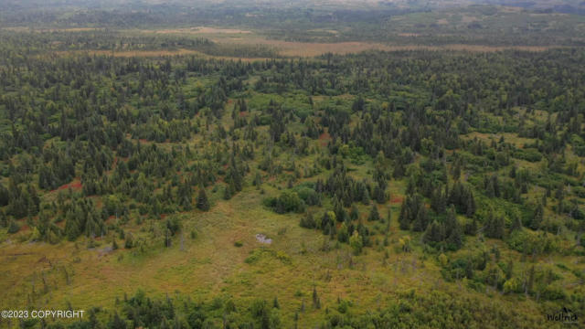 H23 ALASKAN WILDWOOD RANCH(R), NIKOLAEVSK, AK 99556, photo 3 of 7