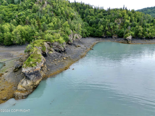 NHN 2C BEAR COVE, HOMER, AK 99603, photo 4 of 13